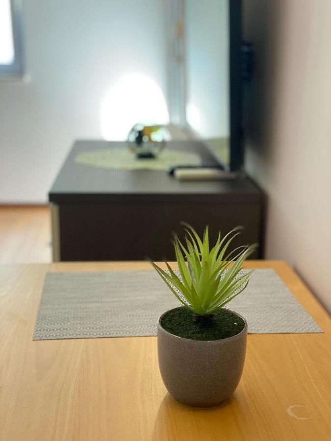 Apartament San Monte *