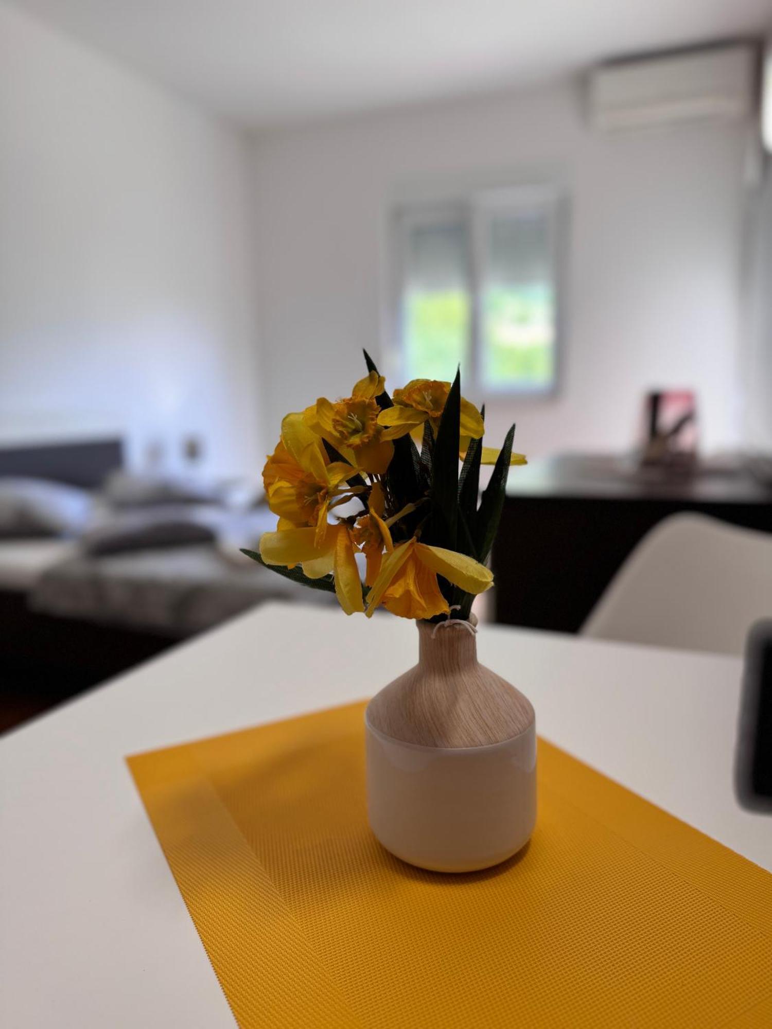 Apartament San Monte